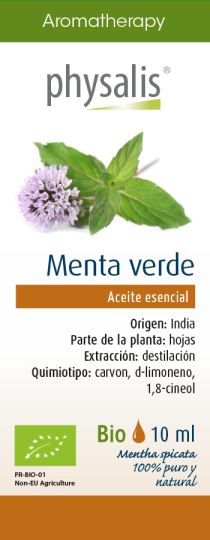 Physalis Green Mint essence 10 ml