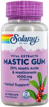 Mastic Gum 500 mg 45 C&aacute;psulas Vegetales